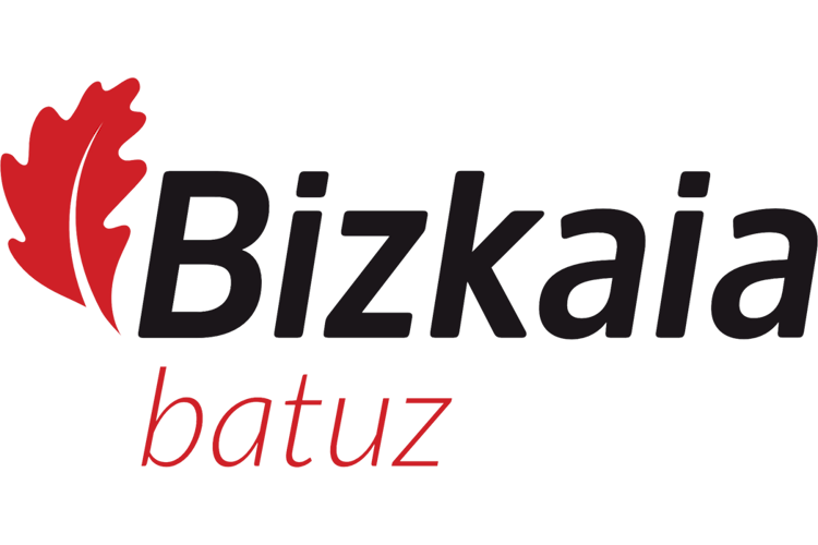 TicketBAI Bizkaia